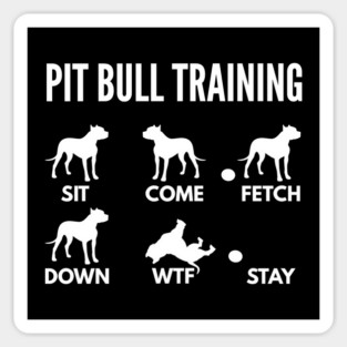 Pit Bull Training Pit Bull Dog Tricks Sticker
