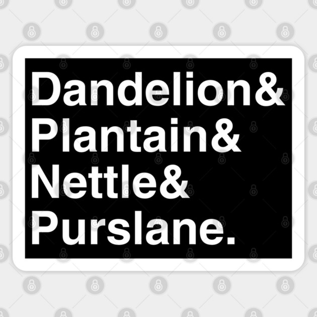 Plant Names Ampersand Sticker by Four Season Foraging