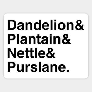 Plant Names Ampersand Magnet