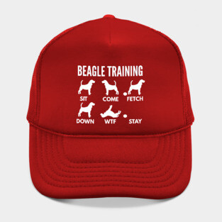 Beagle Training Beagle Dog Tricks Hat