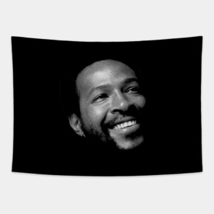 Marvin Gaye Tapestry