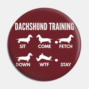 Dachshund Training Dachshund Dog Tricks Pin