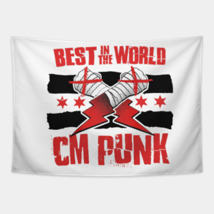 CM Punk Best In The World Tapestry