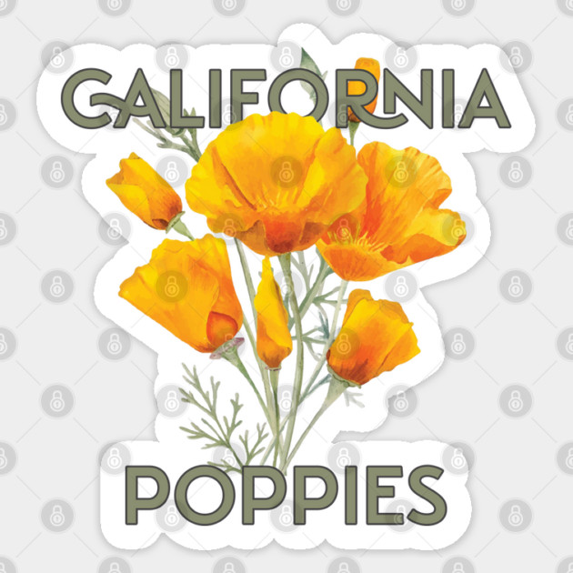 California Poppies Sticker by HolidayBug