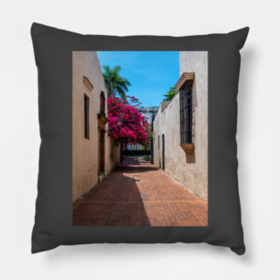 Dominican Alleyway Pillow