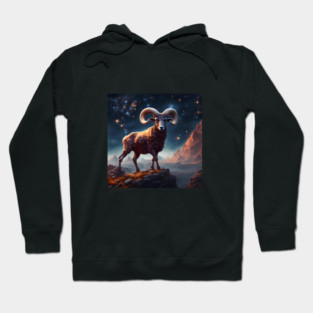 Aries Hoodie