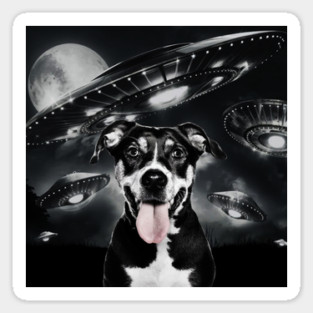 Selfie of Funny Dog And Aliens UFO  3 Magnet