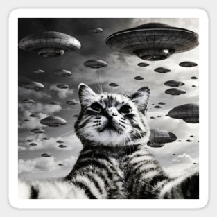 Selfie of Funny Cat And Aliens UFO 2 Sticker