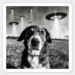 Dog Selfie With Aliens UFO Magnet