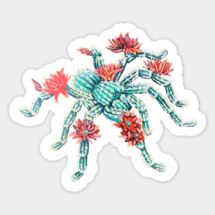 Peanut Cactus Tarantula Sticker