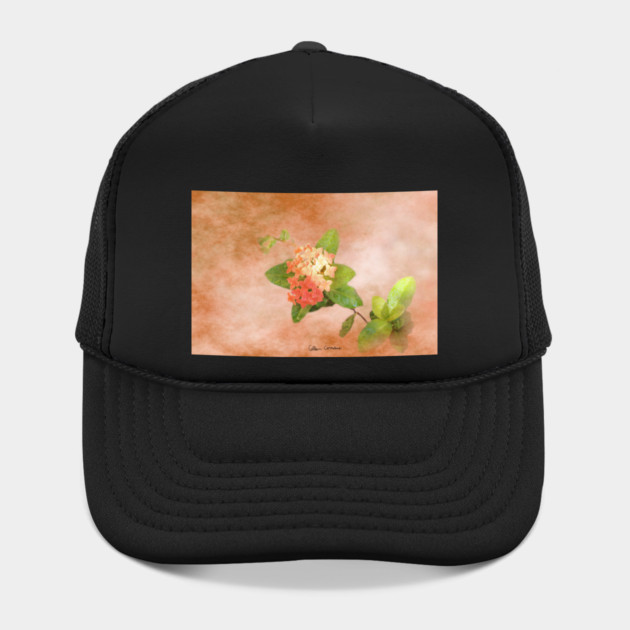 Peach Flowers Digital Art by ButterflyInTheAttic