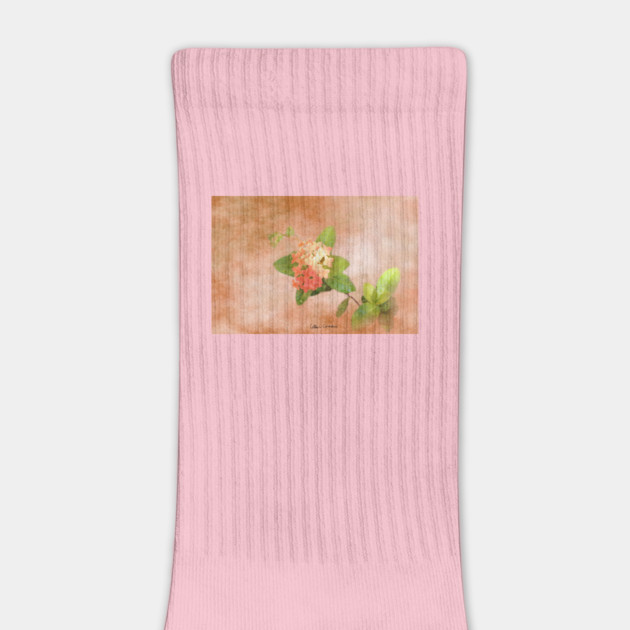 Peach Flowers Digital Art by ButterflyInTheAttic