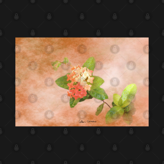 Peach Flowers Digital Art by ButterflyInTheAttic