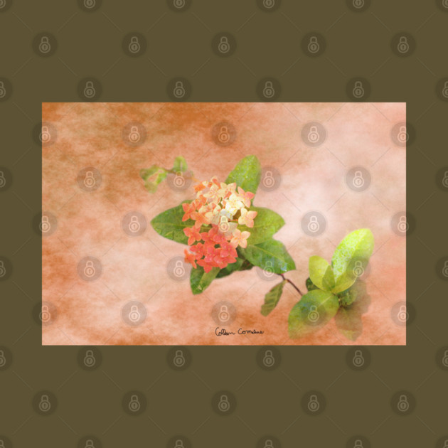 Peach Flowers Digital Art by ButterflyInTheAttic