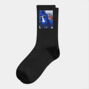 Coaty Socks