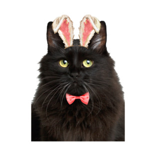 Fluffy Black Cat Easter Bunny T-Shirt