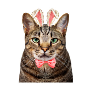 Brown Tabby Cat Easter Bunny T-Shirt