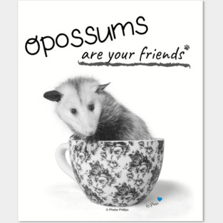 Opossums Are Your Friends Posters and Art