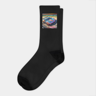 Race car in watercolor painting Socks
