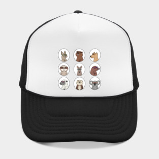 Wallaby Parker- eyewear for all animals Hat