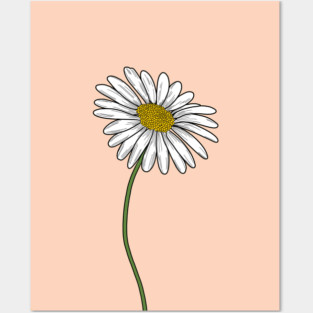 Daisy Posters and Art
