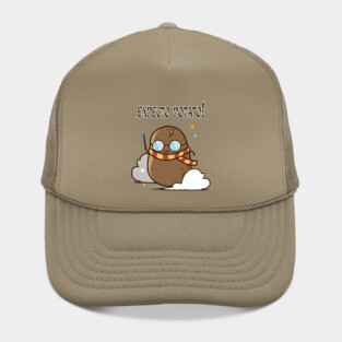 Expecto Potato Hat