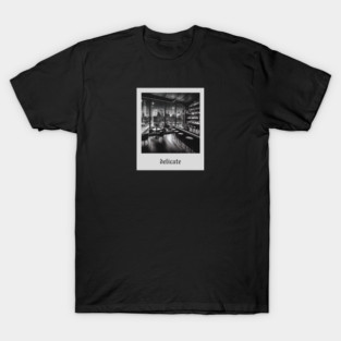 delicate aesthetic T-Shirt