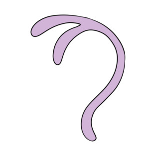 Psychic fox tail T-Shirt