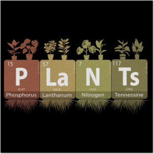 Plants Posters and Art