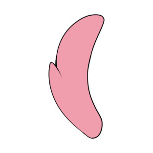 Fairy fox tail T-Shirt