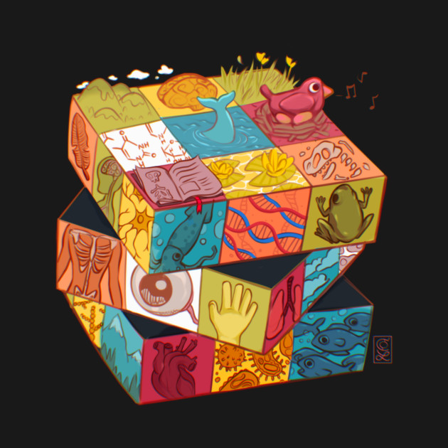 Biology Rubiks Cube by Claire Lin