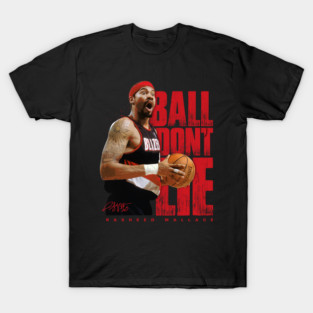 Rasheed Wallace T-Shirt