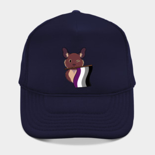Ace Pride Degu Hat