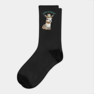 ¿cómo se llama? llama pun Socks