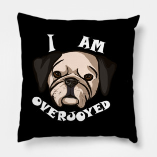 Overjoyed Pillow