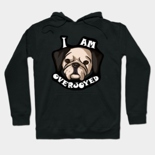 Overjoyed Hoodie
