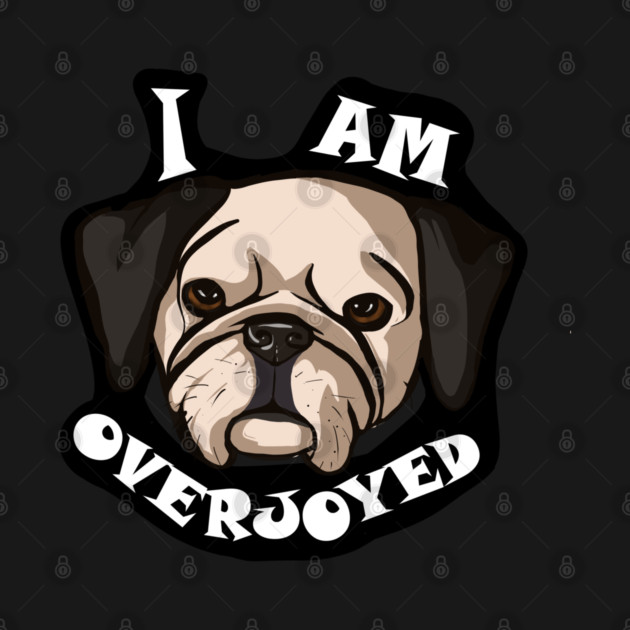 Overjoyed by TheOneImagination