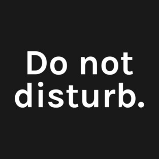Do Not Disturb Funny Sarcastic Saying for Humor Sarcasm Lovers Novelty Graphic T-Shirt