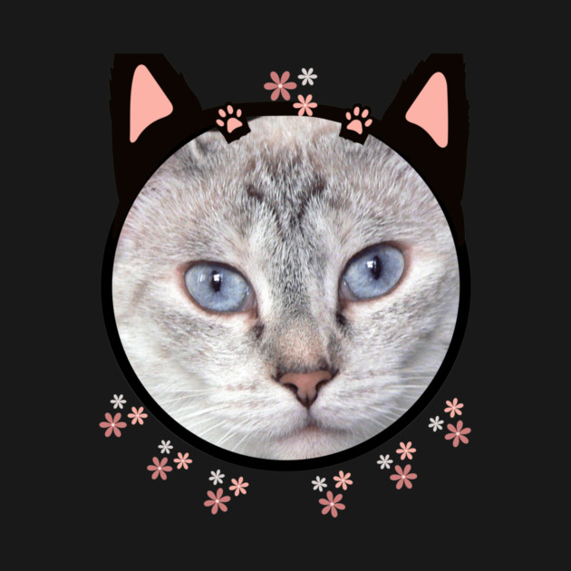 Kitty in rosa with blue eyes by SG-Nogalte