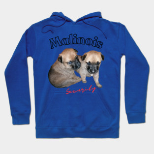 cute Malinois puppies or future security guard Hoodie