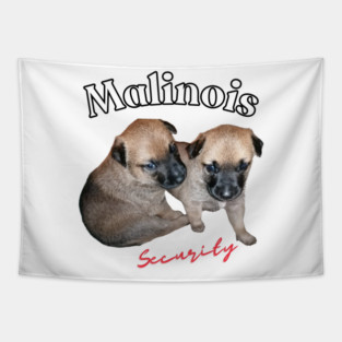 cute Malinois puppies or future security guard Tapestry