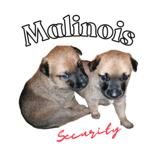 cute Malinois puppies or future security guard T-Shirt