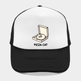 Funny Cute Cat Sleeping inside Pizza Box Hat