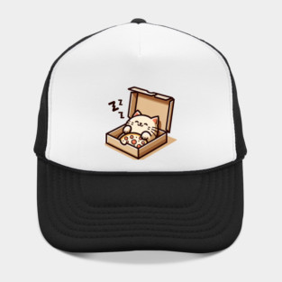 Cute Cat Sleeping inside Pizza Box Hat