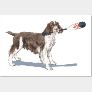English Springer Spaniel with Oar! Posters and Art