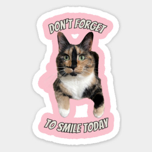 Snickers the smiling cat Sticker
