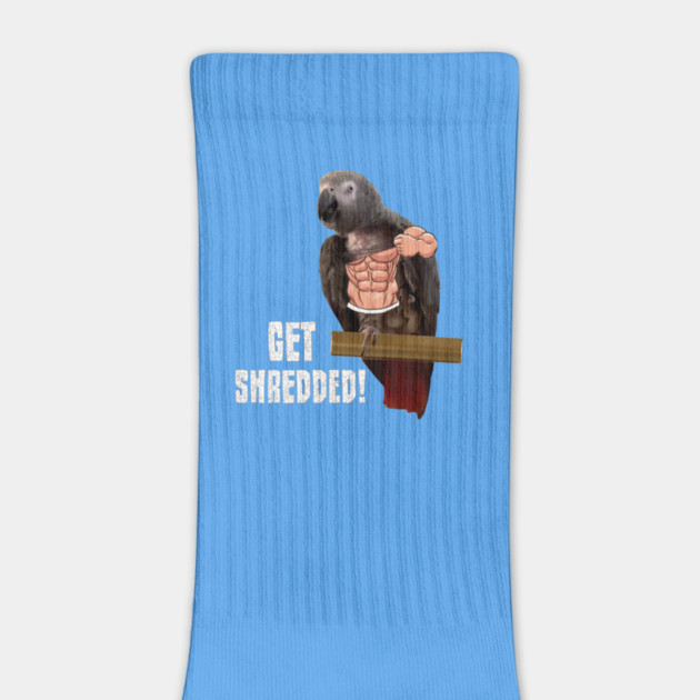 Einstein parrot is pumped up! by Einstein Parrot