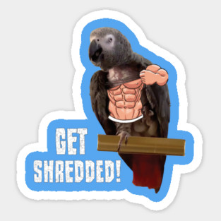 Einstein parrot is pumped up! Sticker