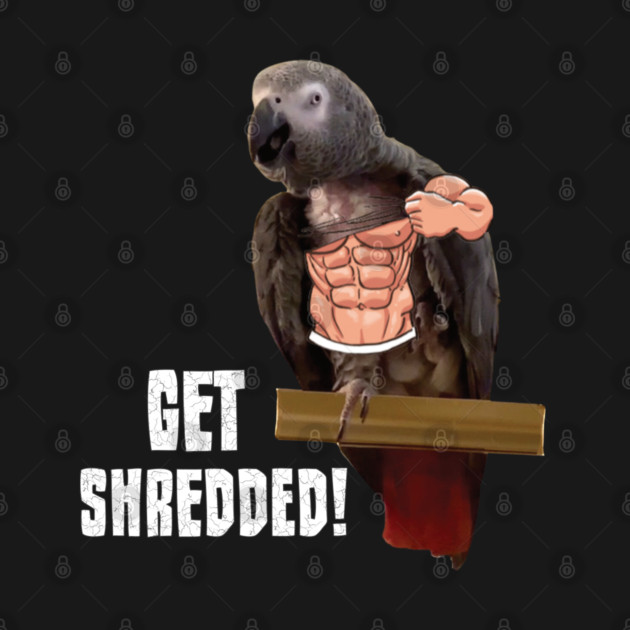 Einstein parrot is pumped up! by Einstein Parrot