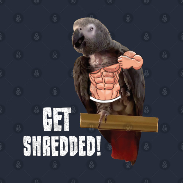 Einstein parrot is pumped up! by Einstein Parrot